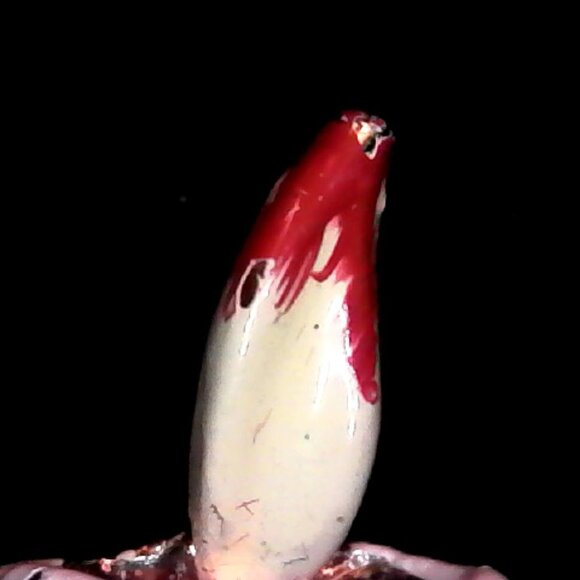 GERRY'S SIGNED CHRISTMAS CANDLE BROOCH - JOEHGW1 - Picture 4 of 4